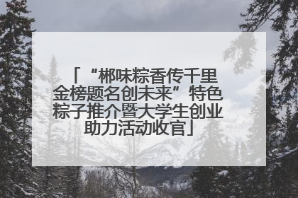 “郴味粽香传千里 金榜题名创未来”特色粽子推介暨大学生创业助力活动收官