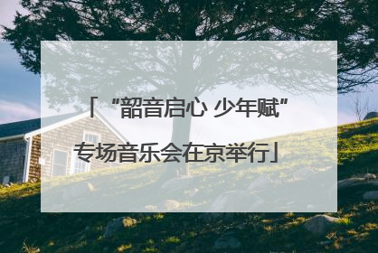 “韶音启心 少年赋”专场音乐会在京举行