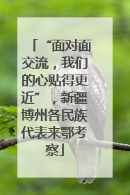 “面对面交流，我们的心贴得更近”，新疆博州各民族代表来鄂考察