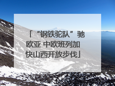 “钢铁驼队”驰欧亚 中欧班列加快山西开放步伐