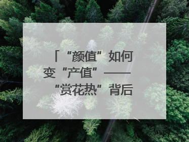 “颜值”如何变“产值”——“赏花热”背后的产业图谱