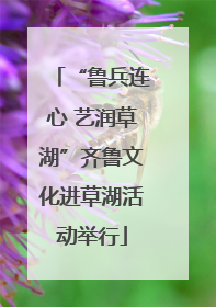 “鲁兵连心 艺润草湖”齐鲁文化进草湖活动举行