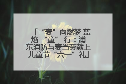 “麦”向燃梦 蓝焰 “童” 行：浦东消防与麦当劳献上儿童节“六一”礼