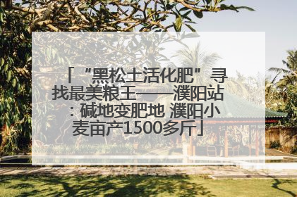 “黑松土活化肥”寻找最美粮王——濮阳站：碱地变肥地 濮阳小麦亩产1500多斤