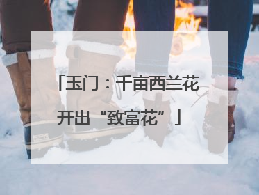 玉门：千亩西兰花开出“致富花”