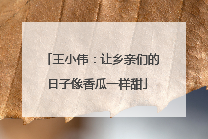 王小伟：让乡亲们的日子像香瓜一样甜