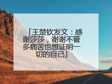 王楚钦发文：感谢莎莎，谢谢不管多痛苦也想证明一切的自己