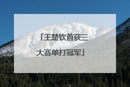 王楚钦首获三大赛单打冠军