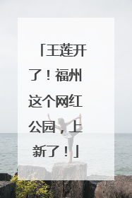 王莲开了！福州这个网红公园，上新了！