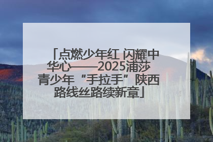 点燃少年红 闪耀中华心——2025浦莎青少年“手拉手”陕西路线丝路续新章