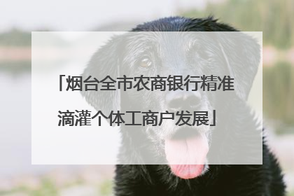 烟台全市农商银行精准滴灌个体工商户发展