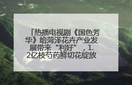 热播电视剧《国色芳华》给菏泽花卉产业发展带来“利好”，1.2亿枝芍药鲜切花绽放“国色芳华”