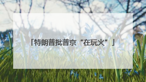 特朗普批普京“在玩火”