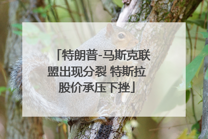 特朗普-马斯克联盟出现分裂 特斯拉股价承压下挫