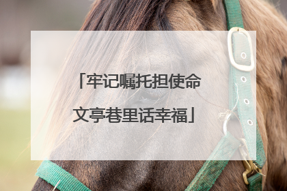 牢记嘱托担使命 文亭巷里话幸福
