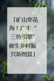 矿山变花海！广丰“三色引擎”催生乡村振兴新图景