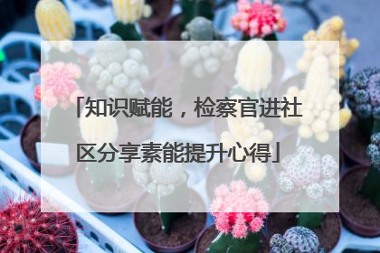 知识赋能，检察官进社区分享素能提升心得