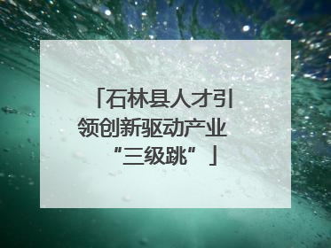 石林县人才引领创新驱动产业“三级跳”