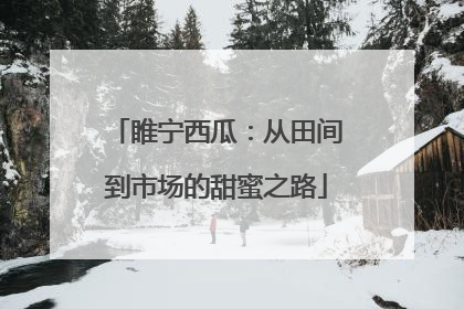 睢宁西瓜：从田间到市场的甜蜜之路