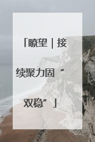 瞭望｜接续聚力固“双稳”