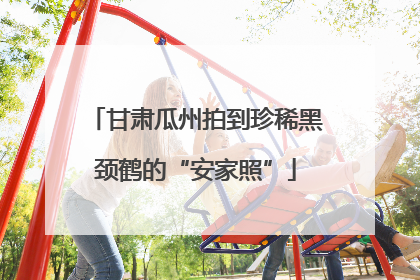 甘肃瓜州拍到珍稀黑颈鹤的“安家照”