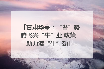 甘肃华亭：“畜”势腾飞兴“牛”业 政策助力添“牛”劲