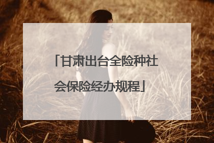 甘肃出台全险种社会保险经办规程