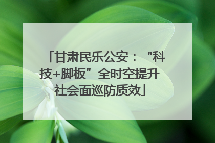甘肃民乐公安：“科技+脚板”全时空提升社会面巡防质效