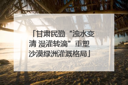 甘肃民勤“浊水变清 漫灌转滴”重塑沙漠绿洲灌溉格局