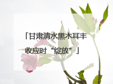 甘肃清水黑木耳丰收应时“绽放”