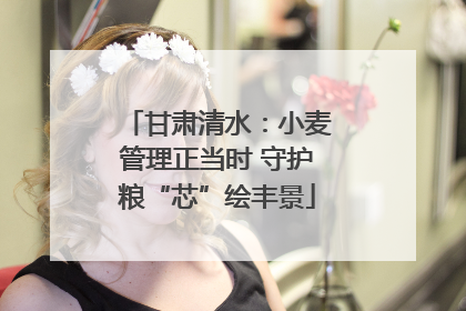 甘肃清水：小麦管理正当时 守护粮“芯”绘丰景