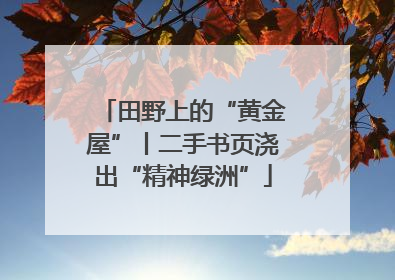 田野上的“黄金屋”丨二手书页浇出“精神绿洲”