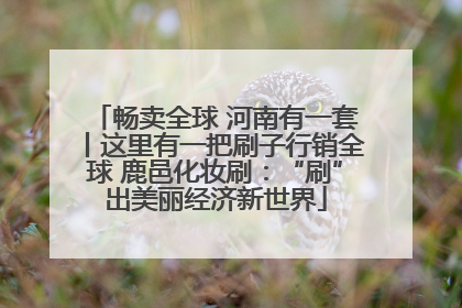 畅卖全球 河南有一套丨这里有一把刷子行销全球 鹿邑化妆刷：“刷”出美丽经济新世界