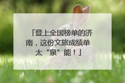 登上全国榜单的济南，这份文旅成绩单太“泉”能！