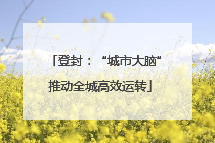 登封：“城市大脑”推动全城高效运转
