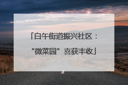 白午街道振兴社区：“微菜园”喜获丰收