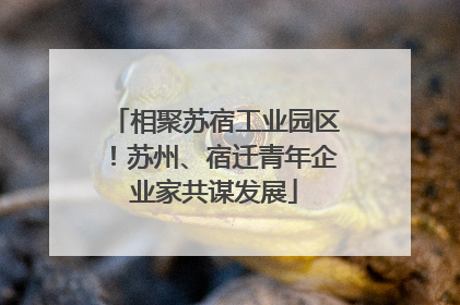 相聚苏宿工业园区！苏州、宿迁青年企业家共谋发展