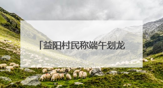 益阳村民称端午划龙舟必须买保险，镇政府：是为其安全着想，一支队伍保费1500元到2500元