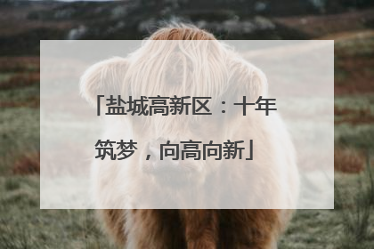 盐城高新区：十年筑梦，向高向新