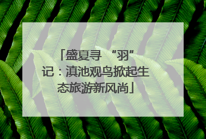 盛夏寻 “羽” 记：滇池观鸟掀起生态旅游新风尚
