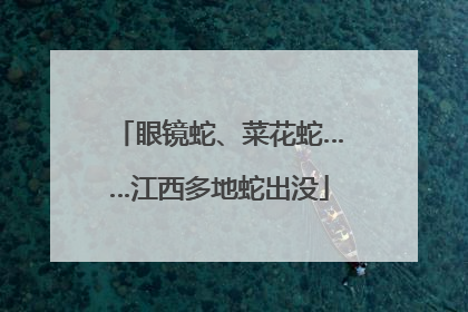 眼镜蛇、菜花蛇……江西多地蛇出没