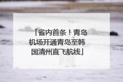 省内首条！青岛机场开通青岛至韩国清州直飞航线