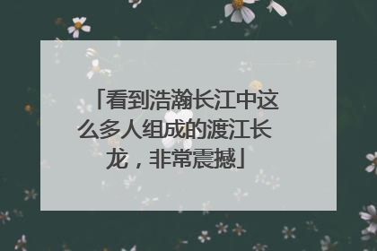 看到浩瀚长江中这么多人组成的渡江长龙，非常震撼