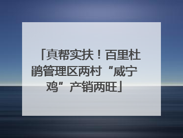 真帮实扶！百里杜鹃管理区两村“威宁鸡”产销两旺