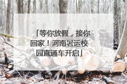 等你放假，接你回家！河南暑运校园直通车开启