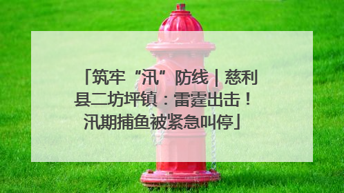 筑牢“汛”防线｜慈利县二坊坪镇：雷霆出击！汛期捕鱼被紧急叫停