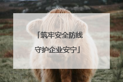 筑牢安全防线 守护企业安宁