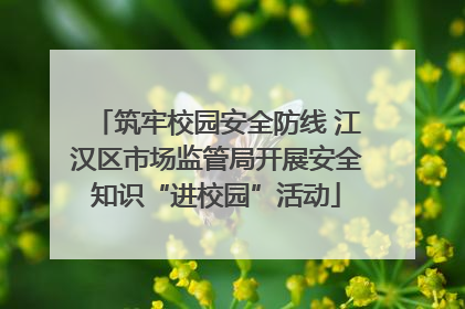 筑牢校园安全防线 江汉区市场监管局开展安全知识“进校园”活动