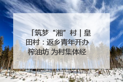 筑梦“湘”村｜皇田村：返乡青年开办榨油坊 为村集体经济“加油”