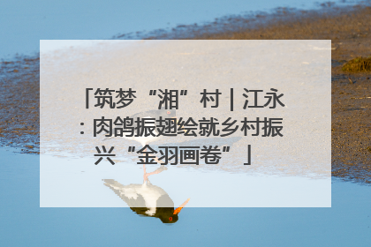 筑梦“湘”村｜江永：肉鸽振翅绘就乡村振兴“金羽画卷”